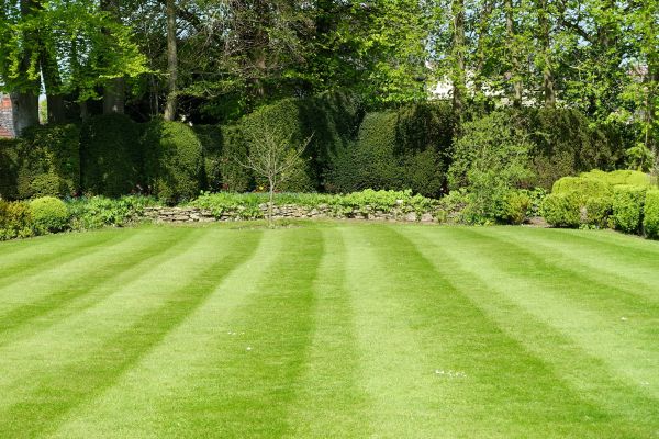 Lawn Renovation in Des Moines