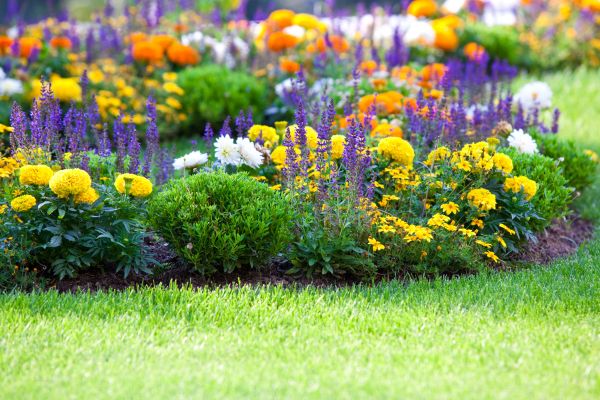 Garden Installation in Des Moines
