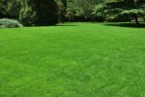 Lawn Landscaping in Des Moines
