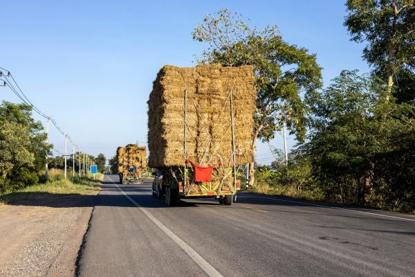Pine Straw Delivery in Des Moines
