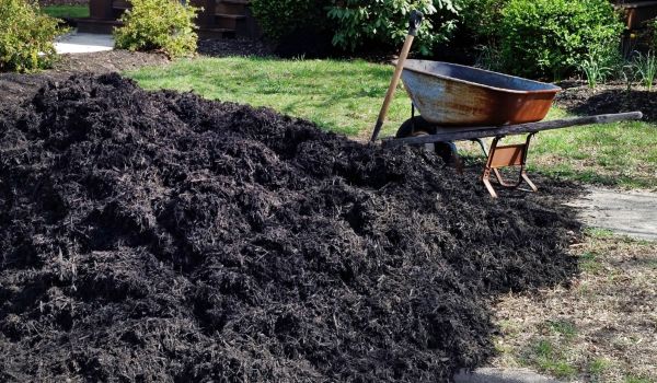 Black Mulch Delivery in Des Moines