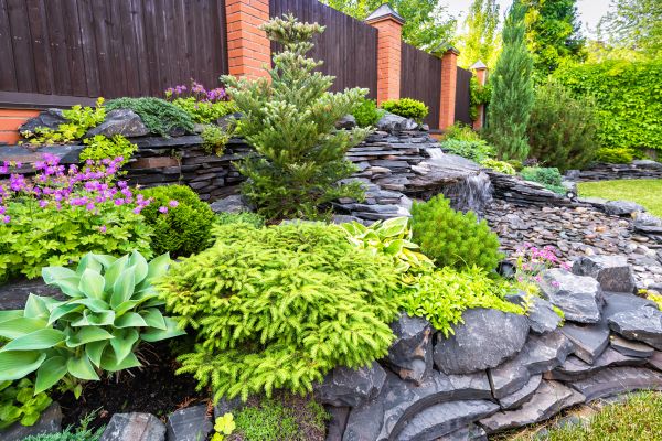 Landscape Remodeling in Des Moines