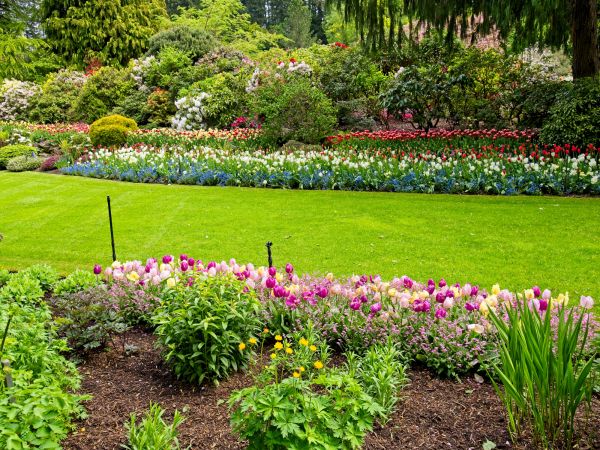 Residential Landscape Design in Des Moines