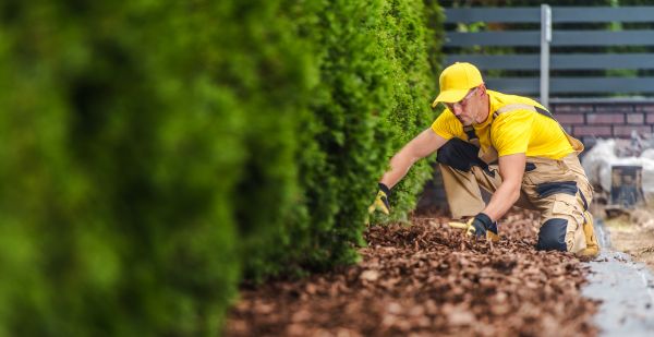 Cypress Mulch Installation in Des Moines