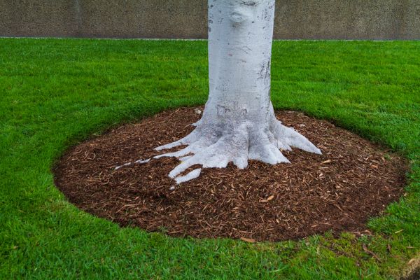Brown Mulch Installation in Des Moines