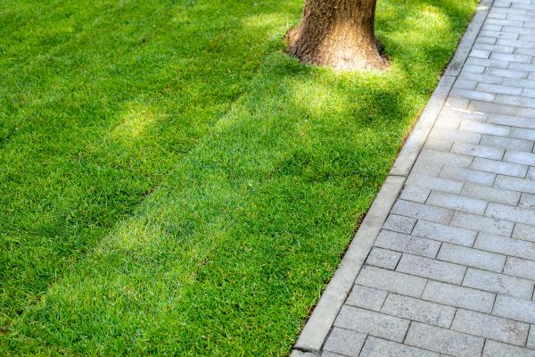Border Stone Installation in Des Moines