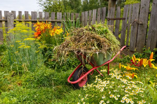 Garden Cleanup Service in Des Moines