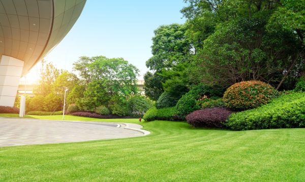 Business Landscape Design in Des Moines