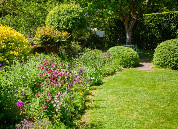 Yard Landscaping Service in Des Moines