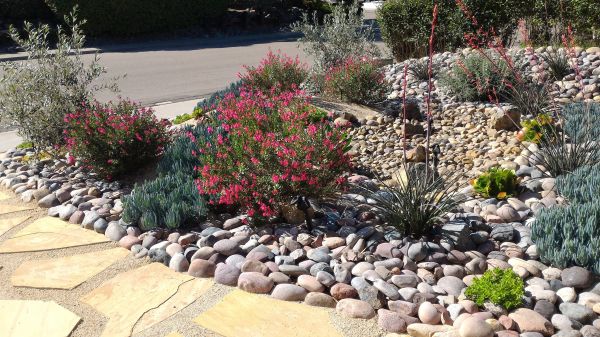 Xeriscape Landscaping in Des Moines