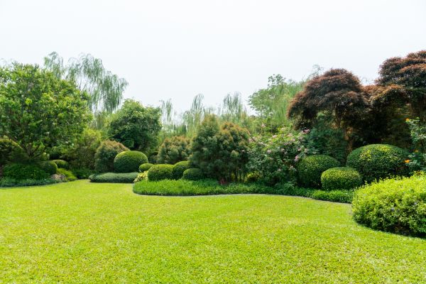 Tree Landscaping in Des Moines