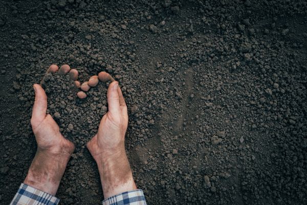 Soil Installation in Des Moines
