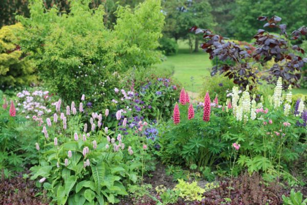Flower Bed Planting in Des Moines