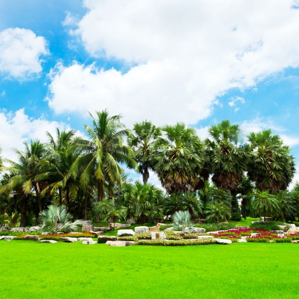 Tropical Landscaping in Des Moines