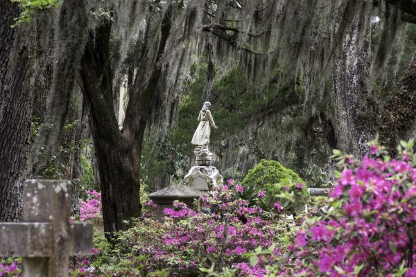 Cemetery Landscaping in Des Moines