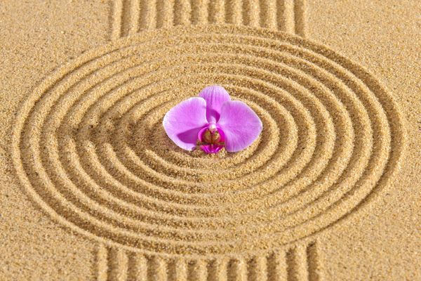 Sand Garden Landscaping in Des Moines