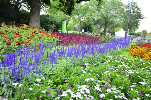 Perennials Planting in Des Moines