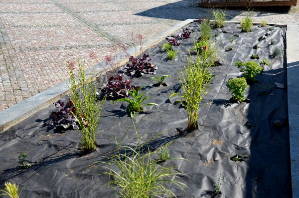 Landscape Fabric Installation in Des Moines