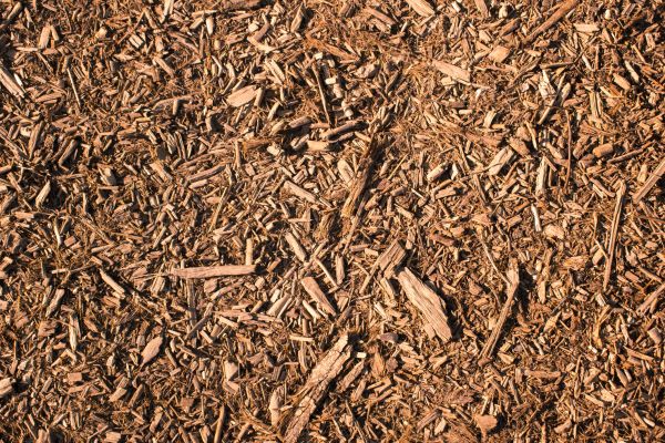 Wood Chips Removal in Des Moines