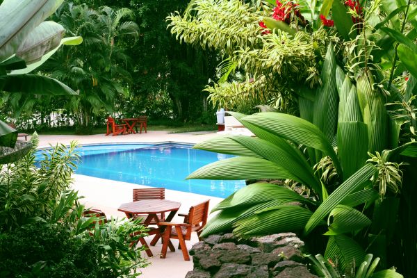 Pool Area Landscaping in Des Moines