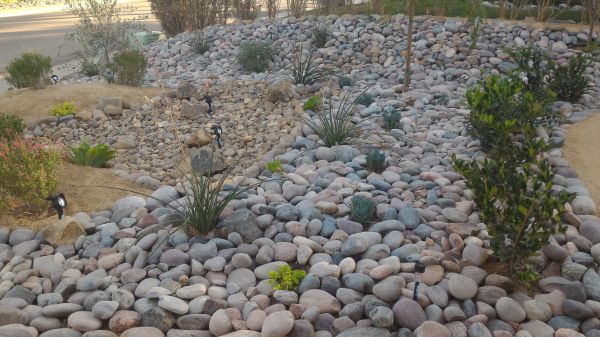 Yard Xeriscaping in Des Moines