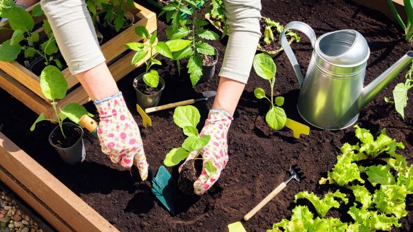 Garden Bed Installation in Des Moines