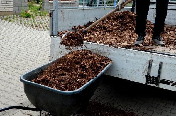 Playground Mulch Delivery in Des Moines