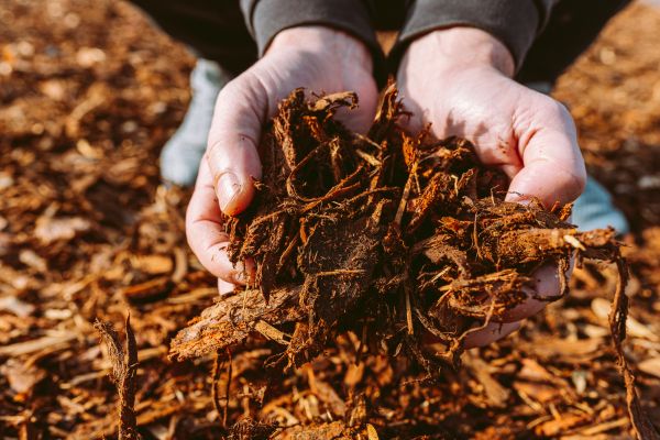 Bark Chips Delivery in Des Moines