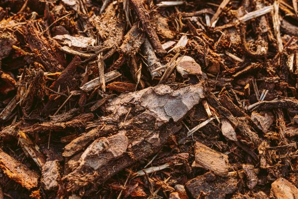 Bark Mulch Delivery in Des Moines