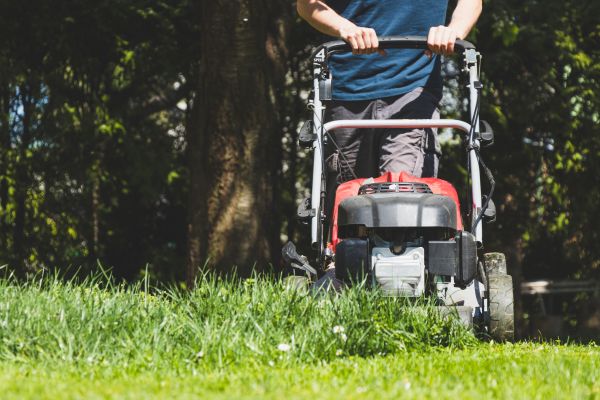 Garden Trimming Service in Des Moines