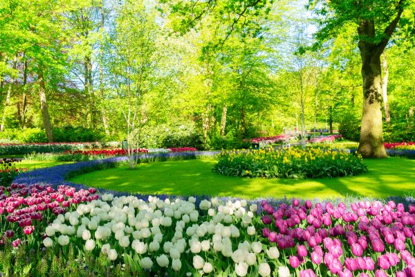 Flower Landscaping in Des Moines