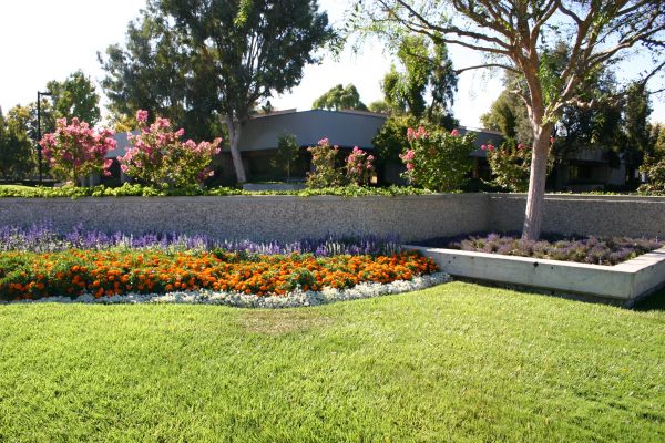 Commercial Landscape Service in Des Moines