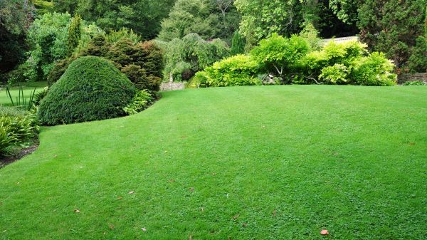 Commercial Landscape Design in Des Moines