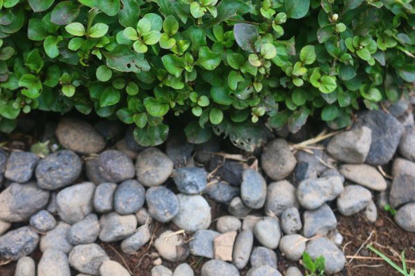 River Stone Installation in Des Moines