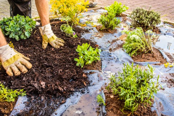 Mulch Fabric Installation in Des Moines