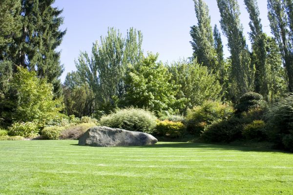 Yard Enlargement in Des Moines