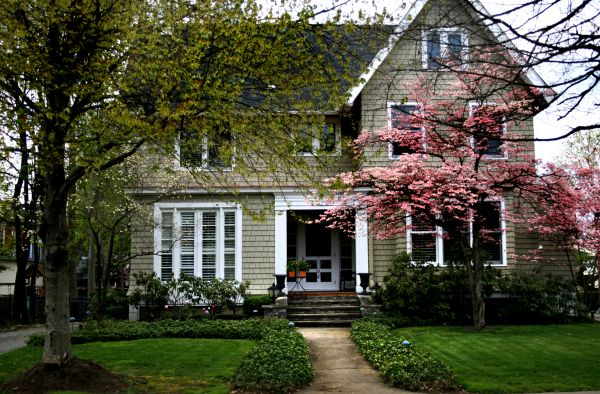 Ornamental Tree Planting in Des Moines