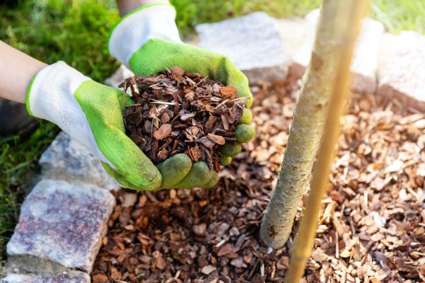Tree Bark Delivery in Des Moines