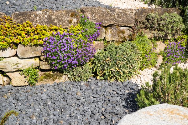 Landscaping Rocks Installation in Des Moines