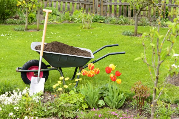 Spring Yard Renovation in Des Moines