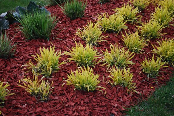 Red Mulch Installation in Des Moines