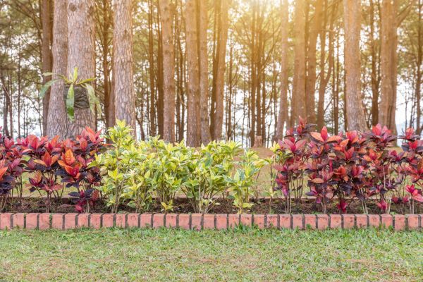 Small Garden Landscaping in Des Moines