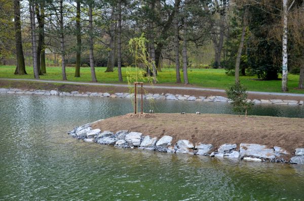 Pond Landscaping Service in Des Moines