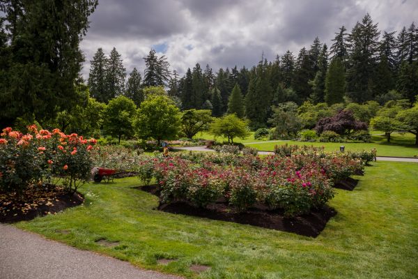 Flower Garden Landscaping in Des Moines
