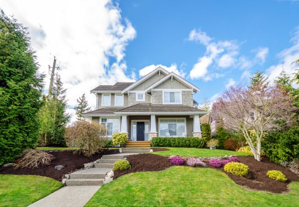 Landscaping Replacement in Des Moines