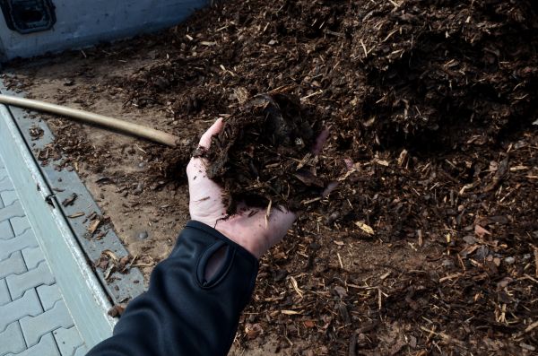 Condo Mulching in Des Moines