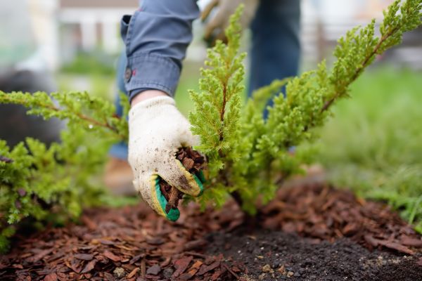 Church Mulching in Des Moines