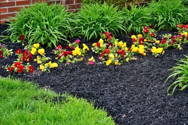 Apartment Mulching in Des Moines