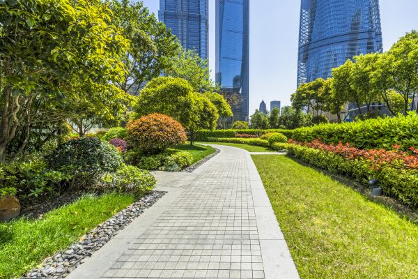 Commercial Landscaping in Des Moines